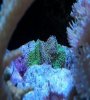 100_0759.JPG