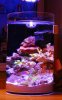 DSC_0340_oldLed.jpg