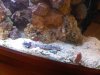 IMG00215-20101118-0723.jpg