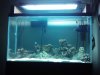 2010-11-20_17.16.19.jpg