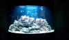 IMAG0108.jpg