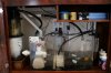 DSC05979.jpg