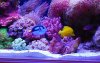 DSC_0503_1.jpg