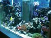 IMG01204-20101123-1313.jpg