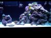IMG00168-20101123-1717.jpg