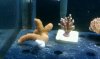 IMAG0065.jpg