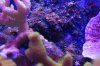 DSC_0496.JPG