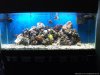 DSCF0366-Optimized.jpg
