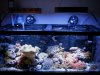 Tank Dec42010.jpg