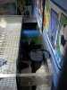 100_0436.jpg