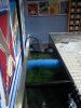 100_0440.jpg