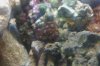IMAG0155.jpg