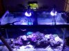 LED only 1.jpg