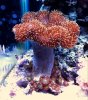user21957_pic7136_1285194847.jpg