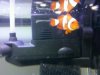 1292104524390imagejpeg_2.jpg