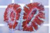 Aussie Acanthastrea Acan Lord.JPG