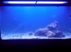 120G alllights tech build.jpg