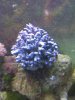 IMG-20101211-00031.jpg
