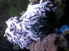 IMG-20101214-00033.jpg