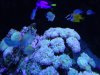 DSC00022.jpg