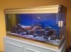 IMG_20101218_113840.jpg