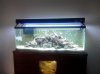 tank5.jpg