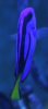 itch 2.jpg