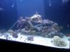 IMG00022-20101222-1744.jpg