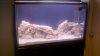 2010-12-24_13-29-55_480.jpg