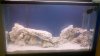 2010-12-24_13-29-44_365.jpg