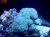 IMG_20101224_144815.jpg