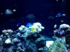 IMG_20101224_144754.jpg