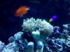 IMG_20101224_144730.jpg