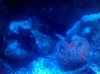 2010-12-26_22-23-15_741.jpg
