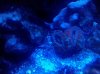 2010-12-26_22-33-47_405.jpg