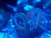 2010-12-26_22-33-56_116.jpg