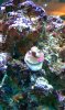 IMAG0044.jpg