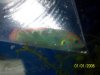 102_1001.jpg