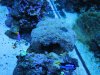 Underwater Tank Pics 005.jpg