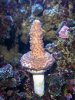 100_0441.JPG