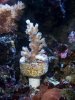 100_0442.JPG