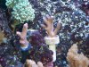 100_0449.jpg