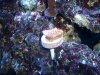 100_0451.jpg