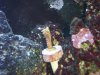 100_0456.JPG