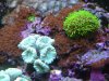 IMG_0385.jpg