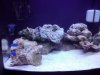 2010-12-31 00.50.29.jpg