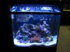tank and power floater 119.jpg