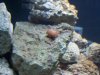 100_0160.jpg