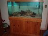 fish4 001.jpg
