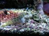 100_0180.jpg